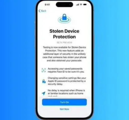 熊口镇苹果授权维修店分享被盗设备保护功能开启方法