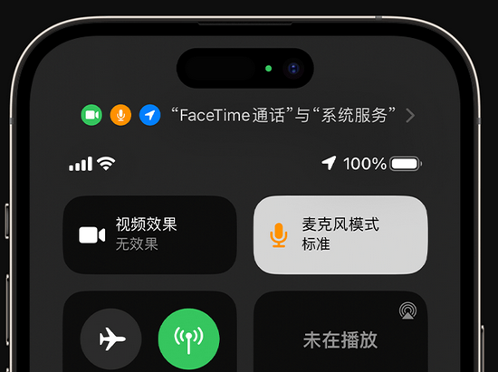 熊口镇苹果授权维修网点分享iPhone在通话时让你的声音更清晰 