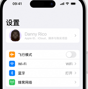 熊口镇appleID维修服务iPhone设置中Apple ID显示为灰色无法使用