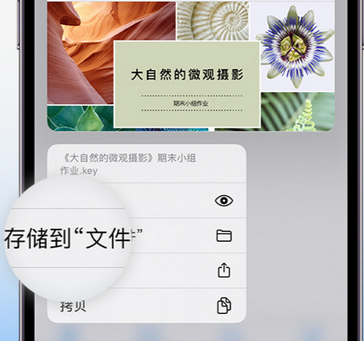 熊口镇apple维修中心分享iPhone文件应用中存储和找到下载文件