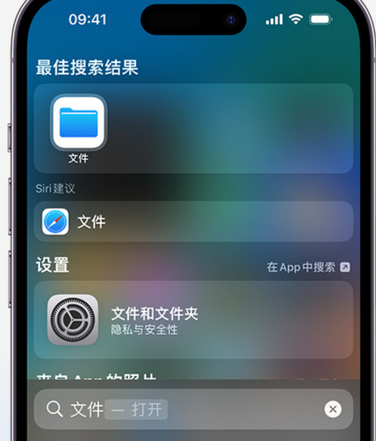 熊口镇apple维修中心分享iPhone文件应用中存储和找到下载文件