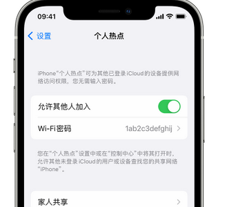 熊口镇apple服务站点分享iPhone上个人热点丢失了怎么办