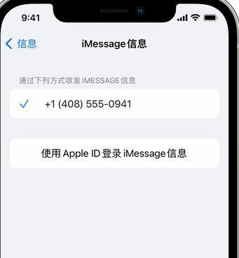 熊口镇apple维修iPhone上无法正常发送iMessage信息 