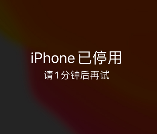 熊口镇苹果手机维修分享:iPhone 显示“不可用”或“已停用”怎么办？还能保留数据吗？ 