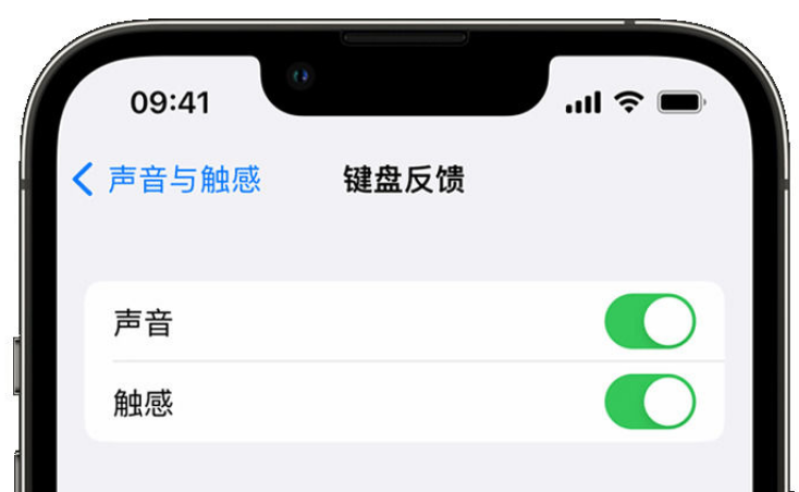 熊口镇苹果手机维修分享iPhone 14触感键盘使用方法 