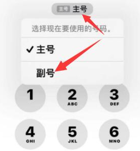 熊口镇苹果14维修店分享iPhone 14 Pro Max使用副卡打电话的方法 