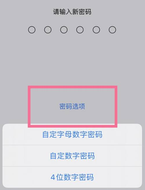 熊口镇苹果14维修分享iPhone 14plus设置密码的方法 