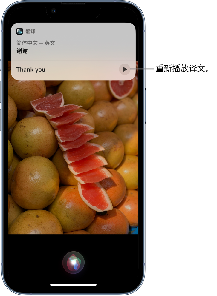 熊口镇苹果14维修分享 iPhone 14 机型中使用 Siri：了解 Siri 能帮你做什么 