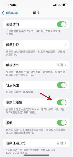 熊口镇苹果手机维修分享iPhone手机如何设置摇一摇删除文字 