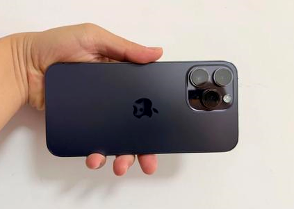 熊口镇苹果维修点分享iPhone 14 Pro Max黑屏少见故障盘点 