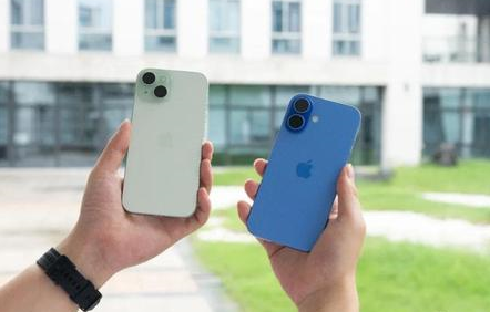 熊口镇苹果维修点分享iPhone 16 Plus黑屏疑难故障汇总 