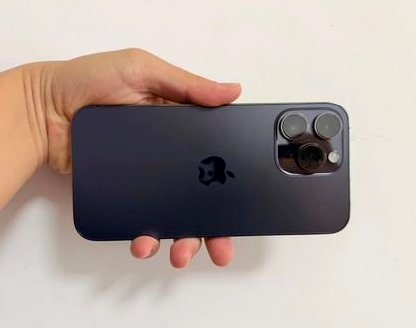 熊口镇苹果维修点分享iPhone 14 Pro Max发烫多重诱因剖析 